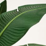 Strelitzia Artificial Tree