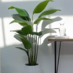 Strelitzia Artificial Tree