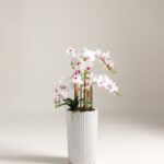 Orchid Artificial Plant