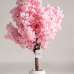 Pink Cherry Blossom
