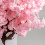 Pink Cherry Blossom