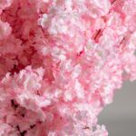 Pink Cherry Blossom
