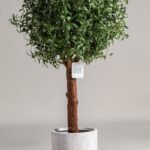 Olive Artificial Tree With Natural Wood Trunk