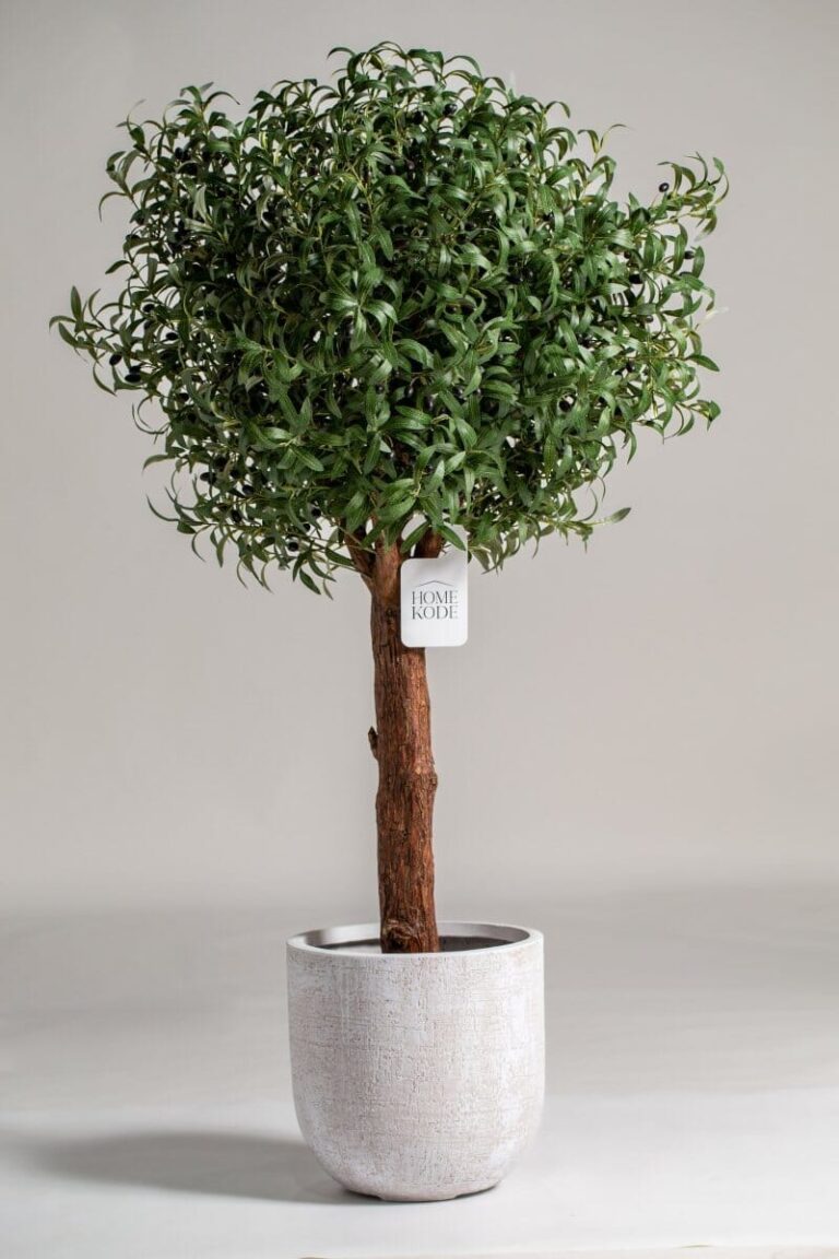 Olive Artificial Tree With Natural Wood Trunk