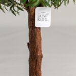 Olive Artificial Tree With Natural Wood Trunk