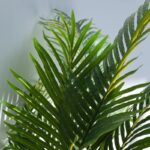 Areca Palm Artificial Plant (240CM)
