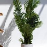 Areca Palm Artificial Plant (240CM)