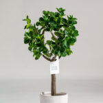Ficus Tree (120CM)