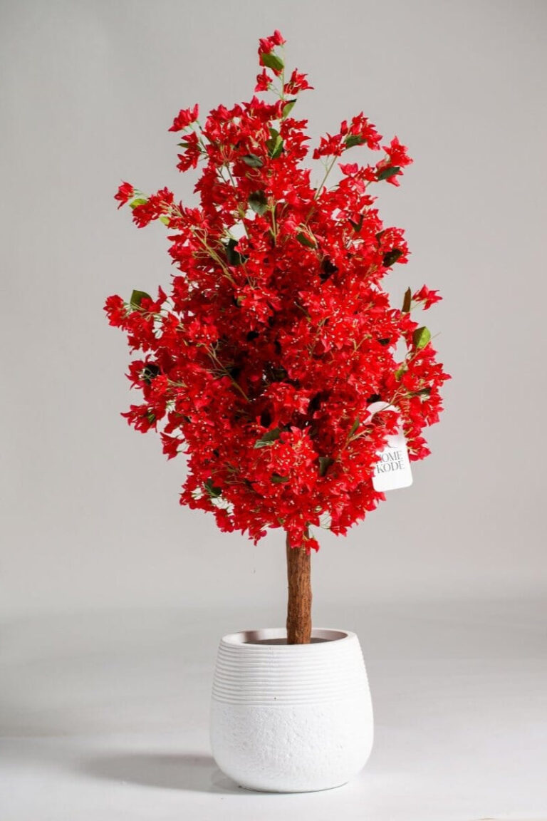 Red Cherry Blossom