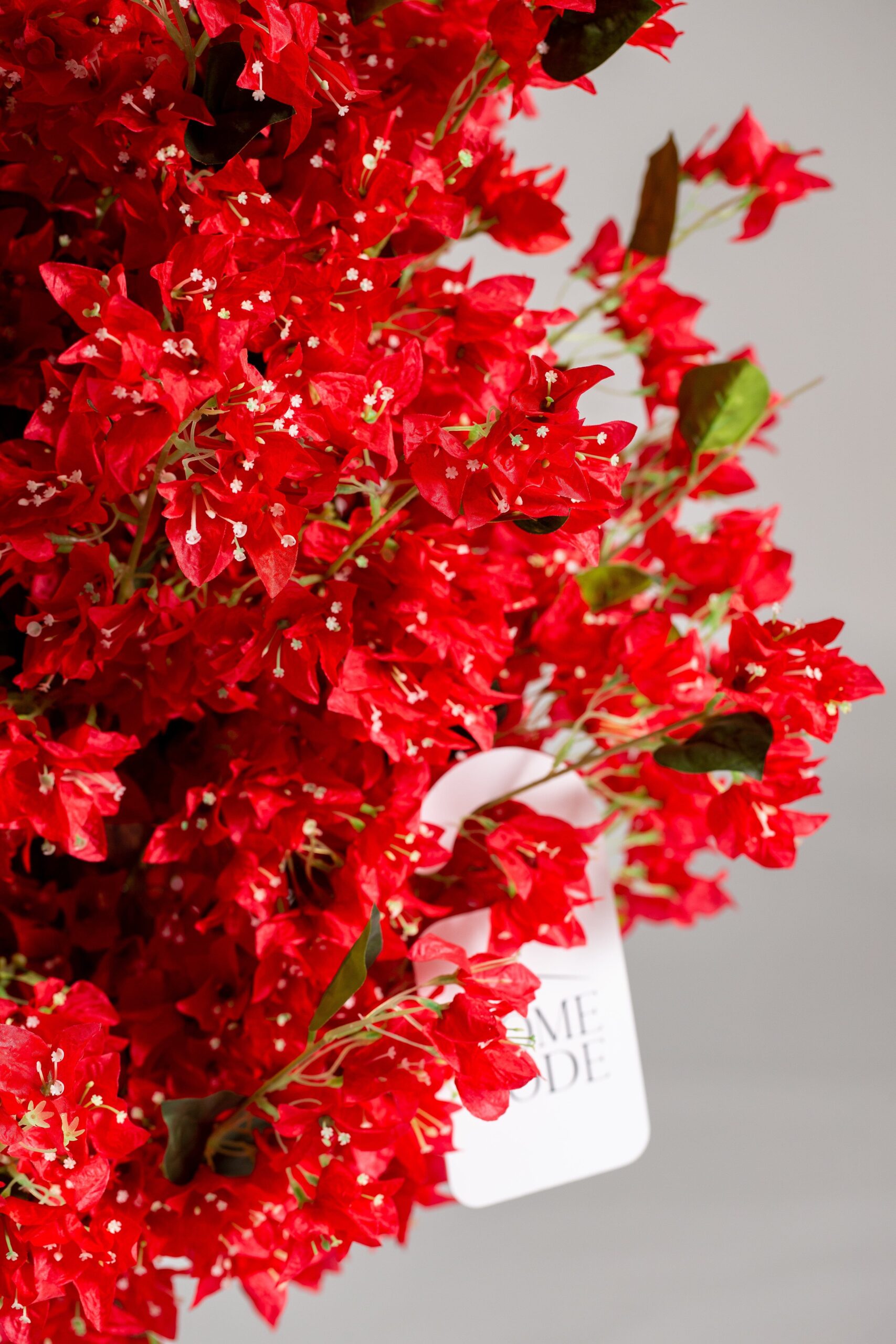 Red Cherry Blossom - Image 2