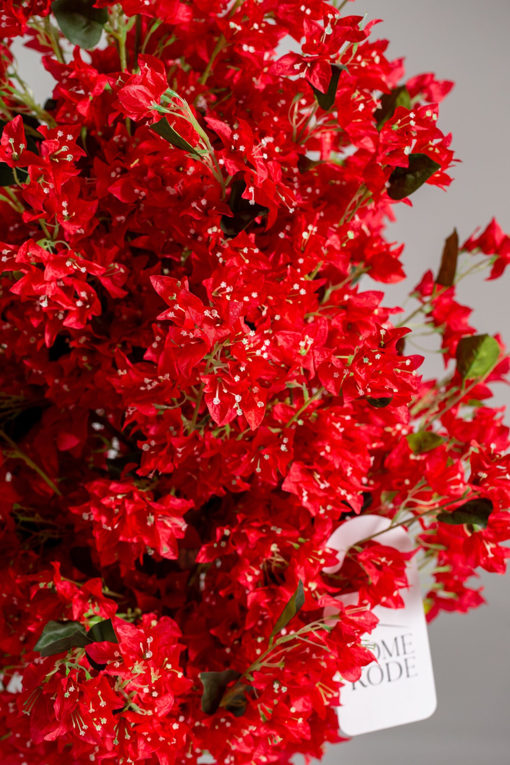 Red Cherry Blossom - Image 3