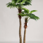 Double Headed Palm Tree (290CM)
