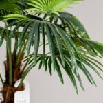 Double Headed Palm Tree (290CM)