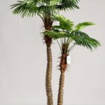 Double Headed Palm Tree (290CM)