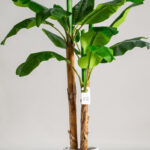 Banana Artificial Plant