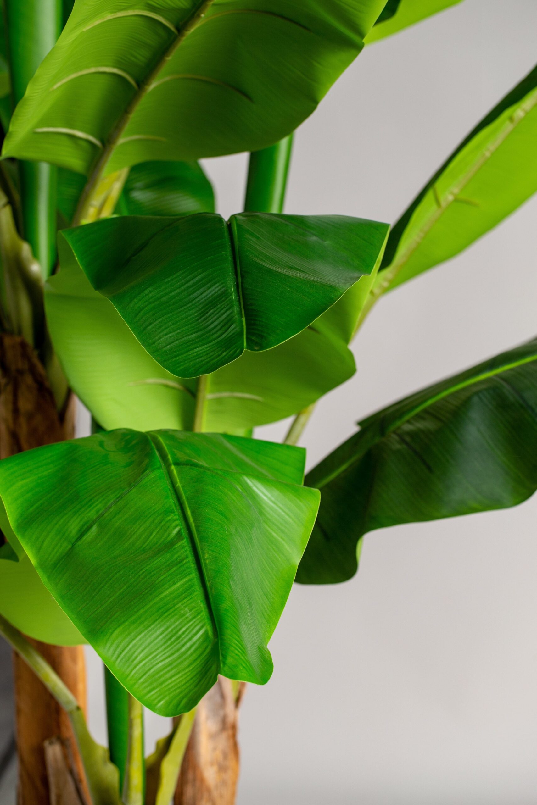 Banana Artificial Plant - Image 2