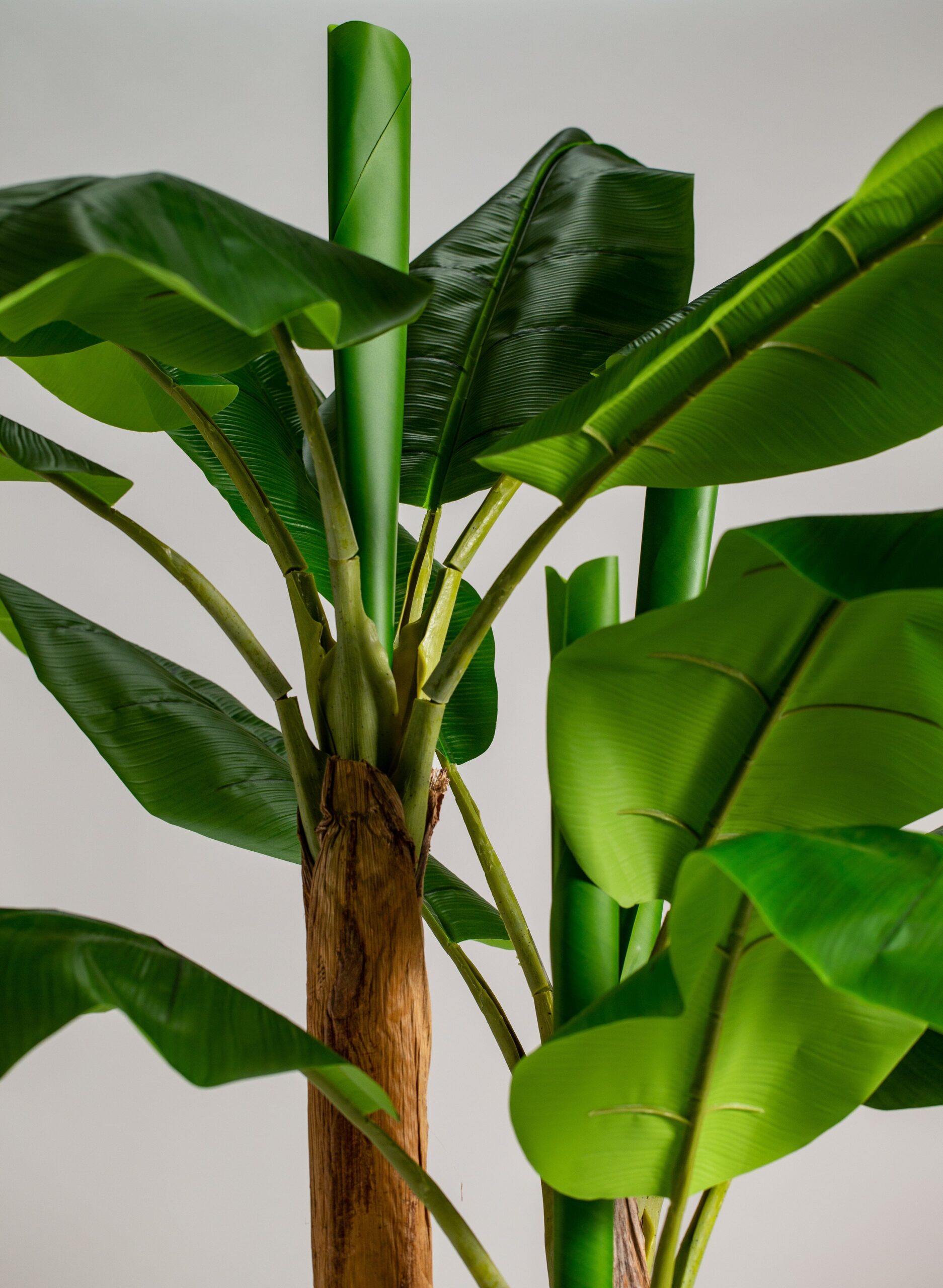 Banana Artificial Plant - Image 4