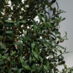 Olive Artificial Tree