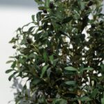 Olive Artificial Tree