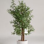 Olive Artificial Tree