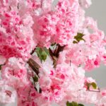 Pink Cherry Blossom Faux Tree (120CM)