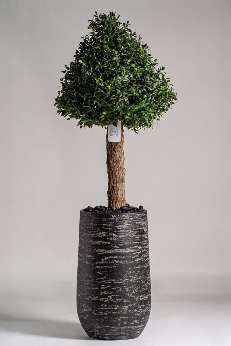 Boxwood Tree Artificial Plant (200CM)