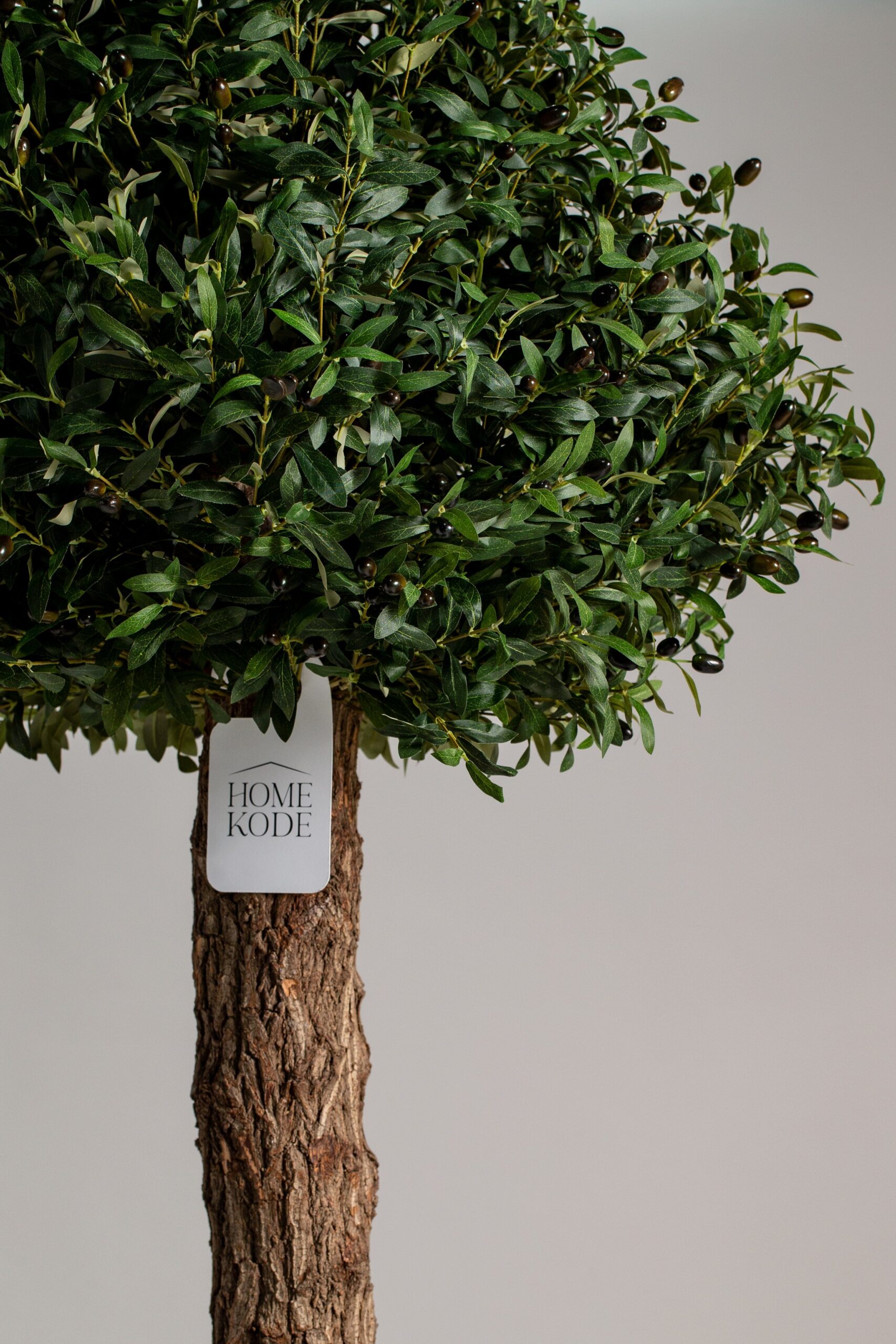 Boxwood Tree Artificial Plant (200CM) - Image 2