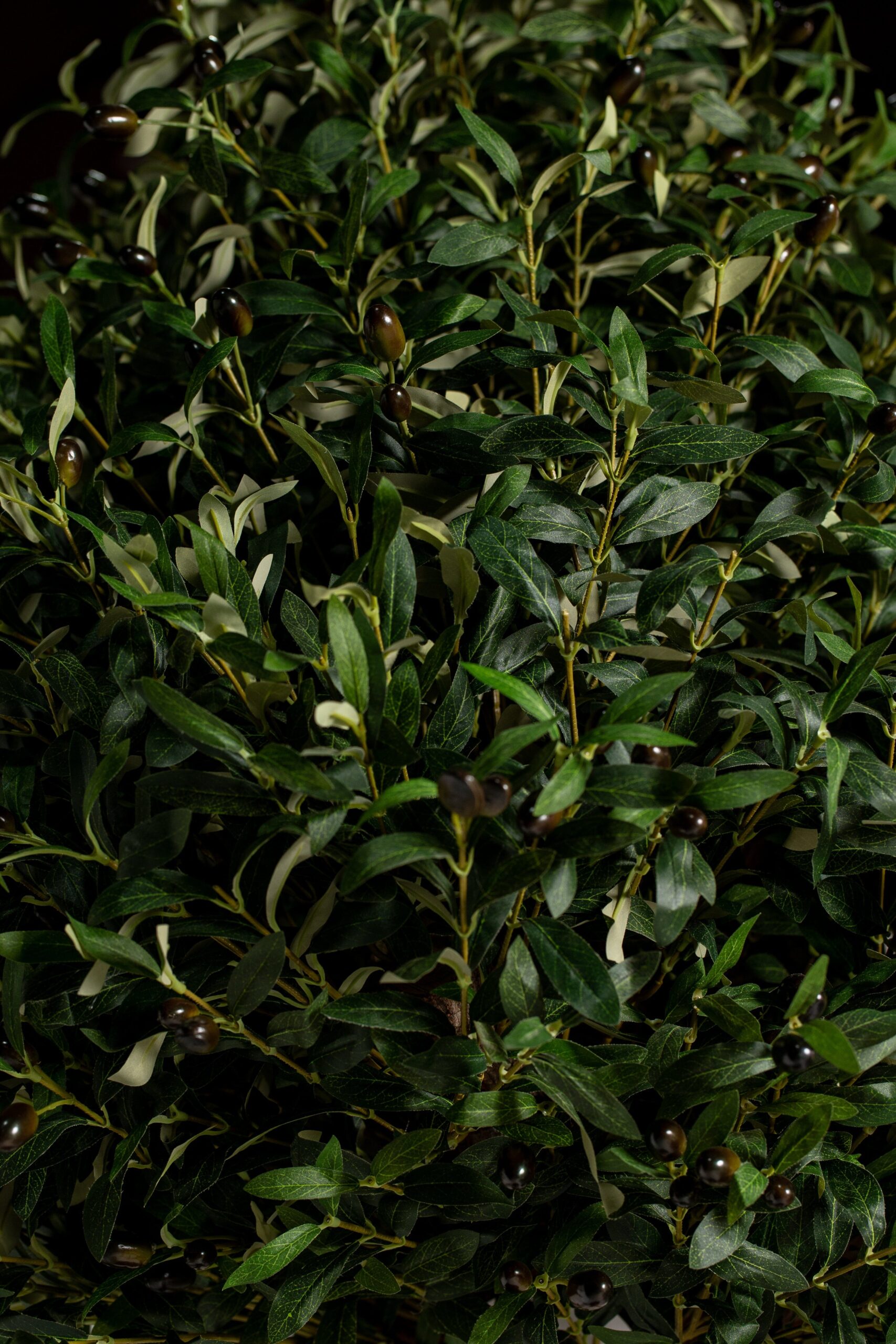 Boxwood Tree Artificial Plant (200CM) - Image 3