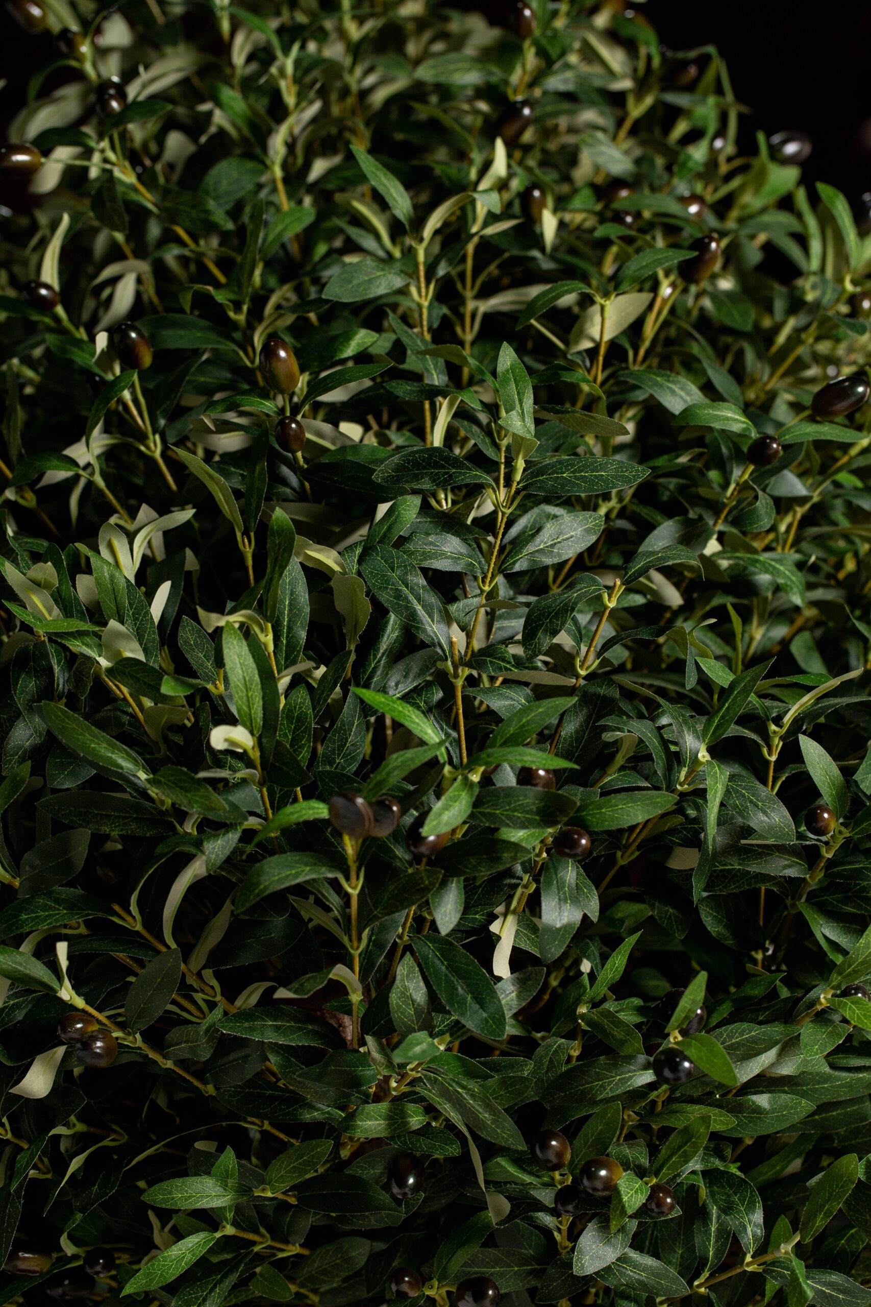 Boxwood Tree Artificial Plant (200CM) - Image 4