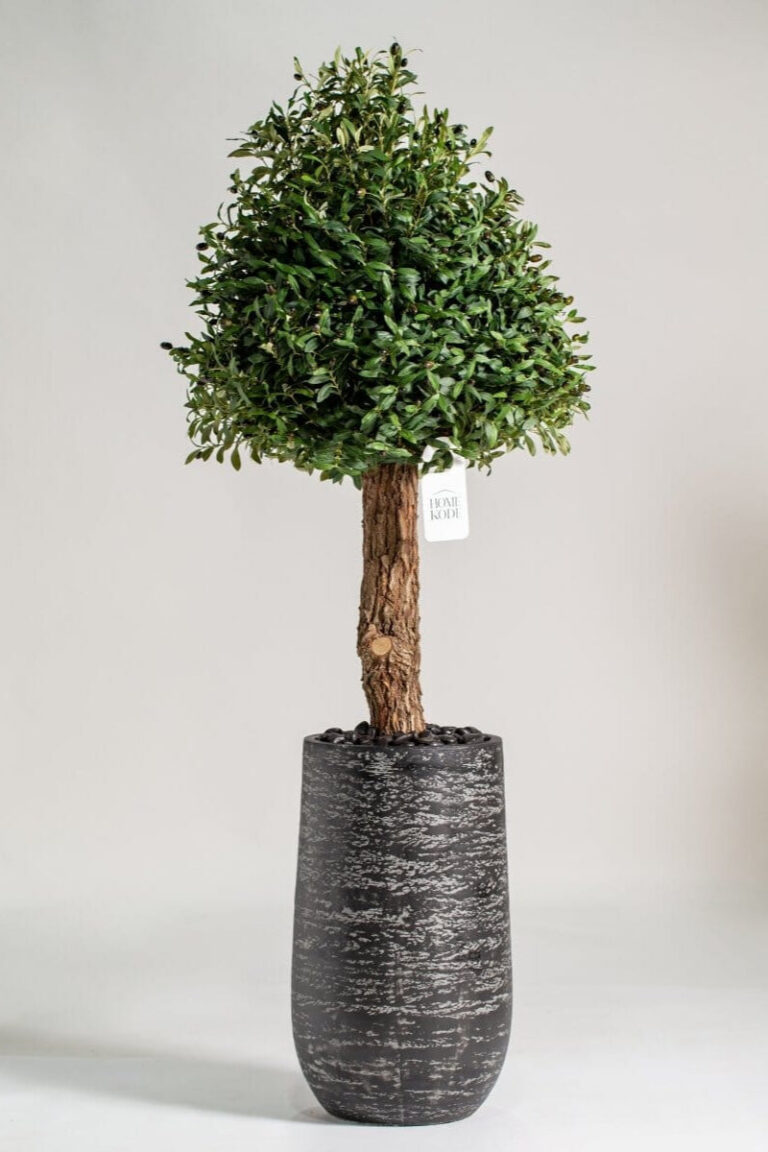 Boxwood Tree Artificial Plant (150CM)