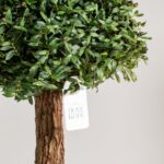 Boxwood Tree Artificial Plant (150CM)