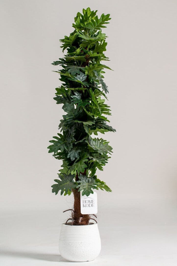 Ficus Lyrata Artificial Plant (150CM)