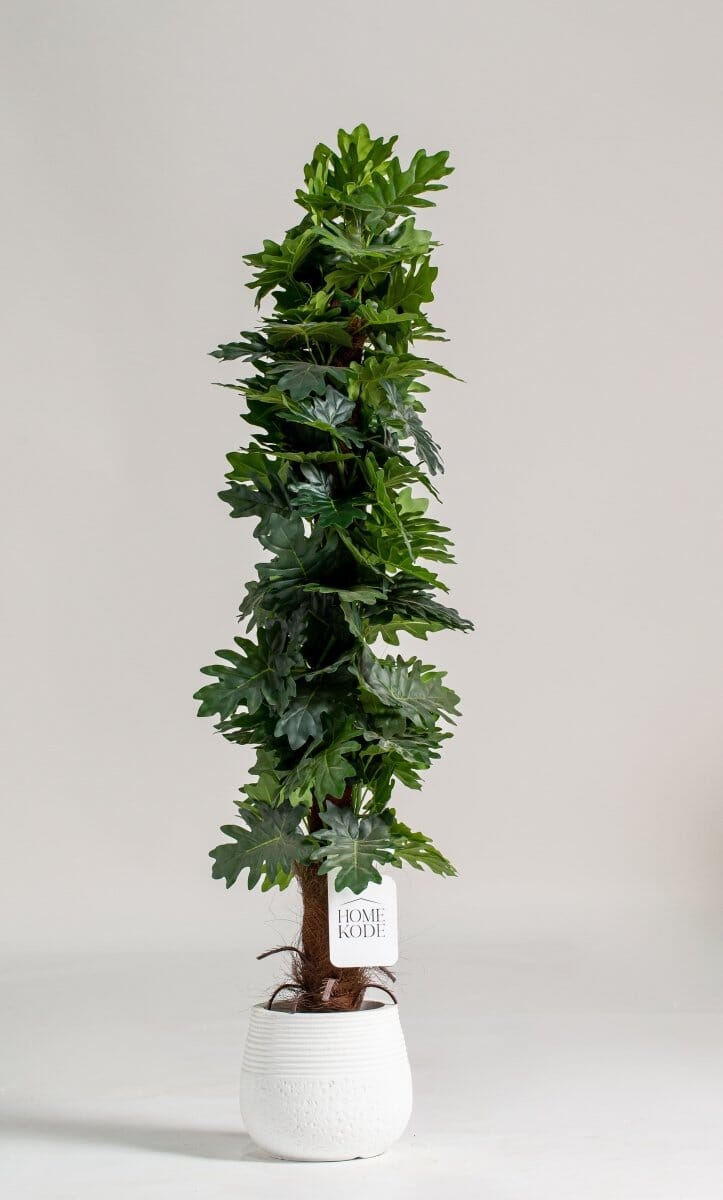 Ficus Lyrata Artificial Plant (150CM) - Image 4