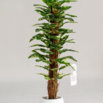 Monstera Artificial Long Plant (120CM)