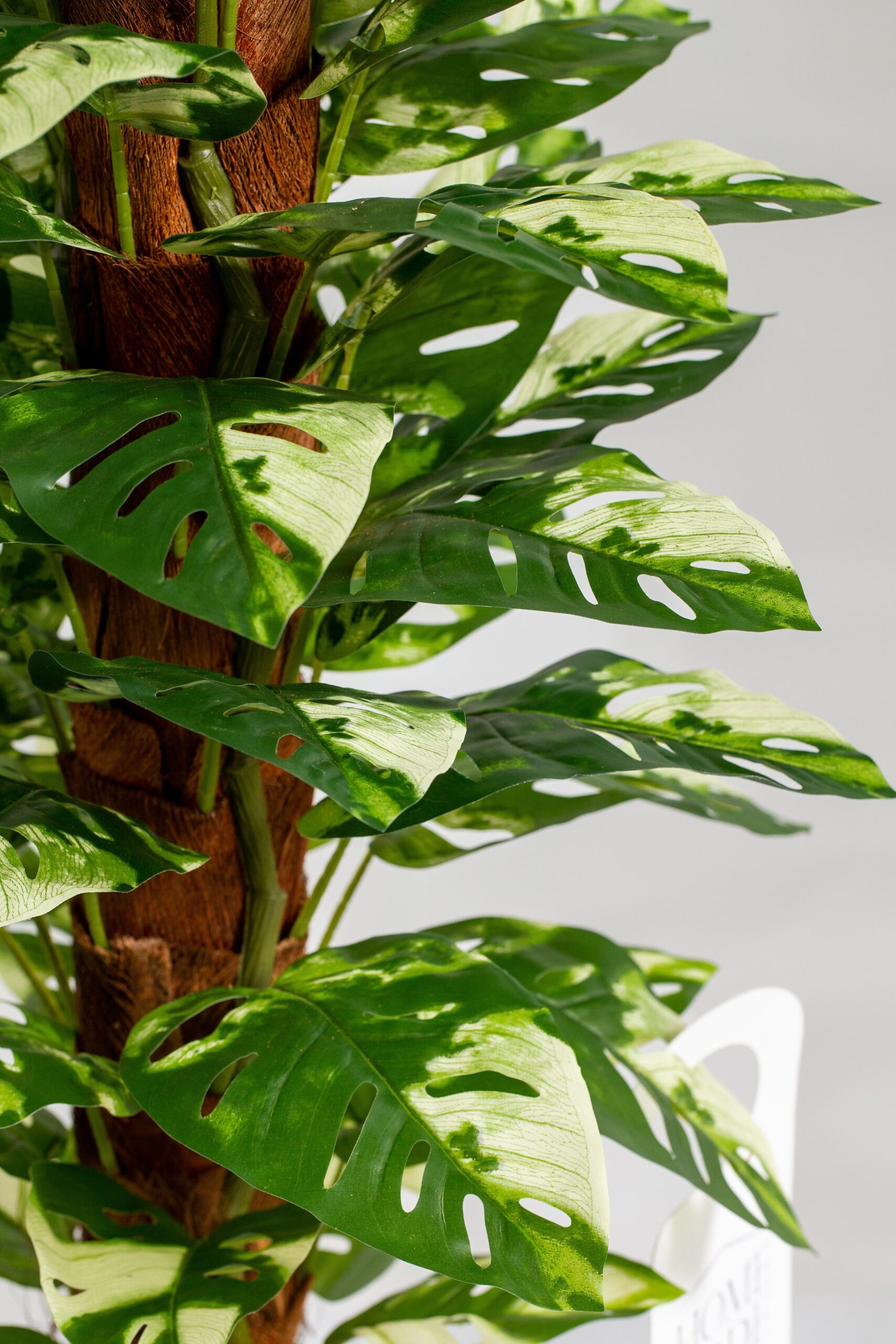 Monstera Artificial Long Plant (120CM) - Image 2