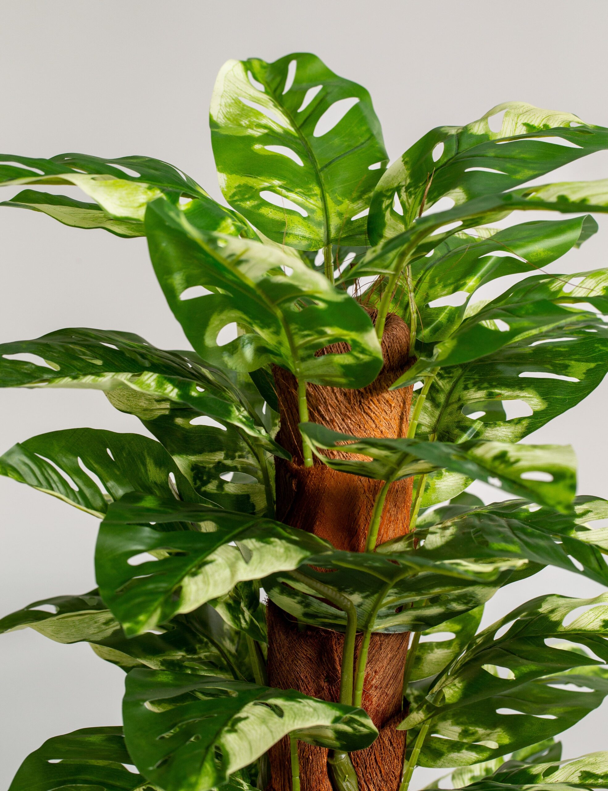 Monstera Artificial Long Plant (120CM) - Image 3