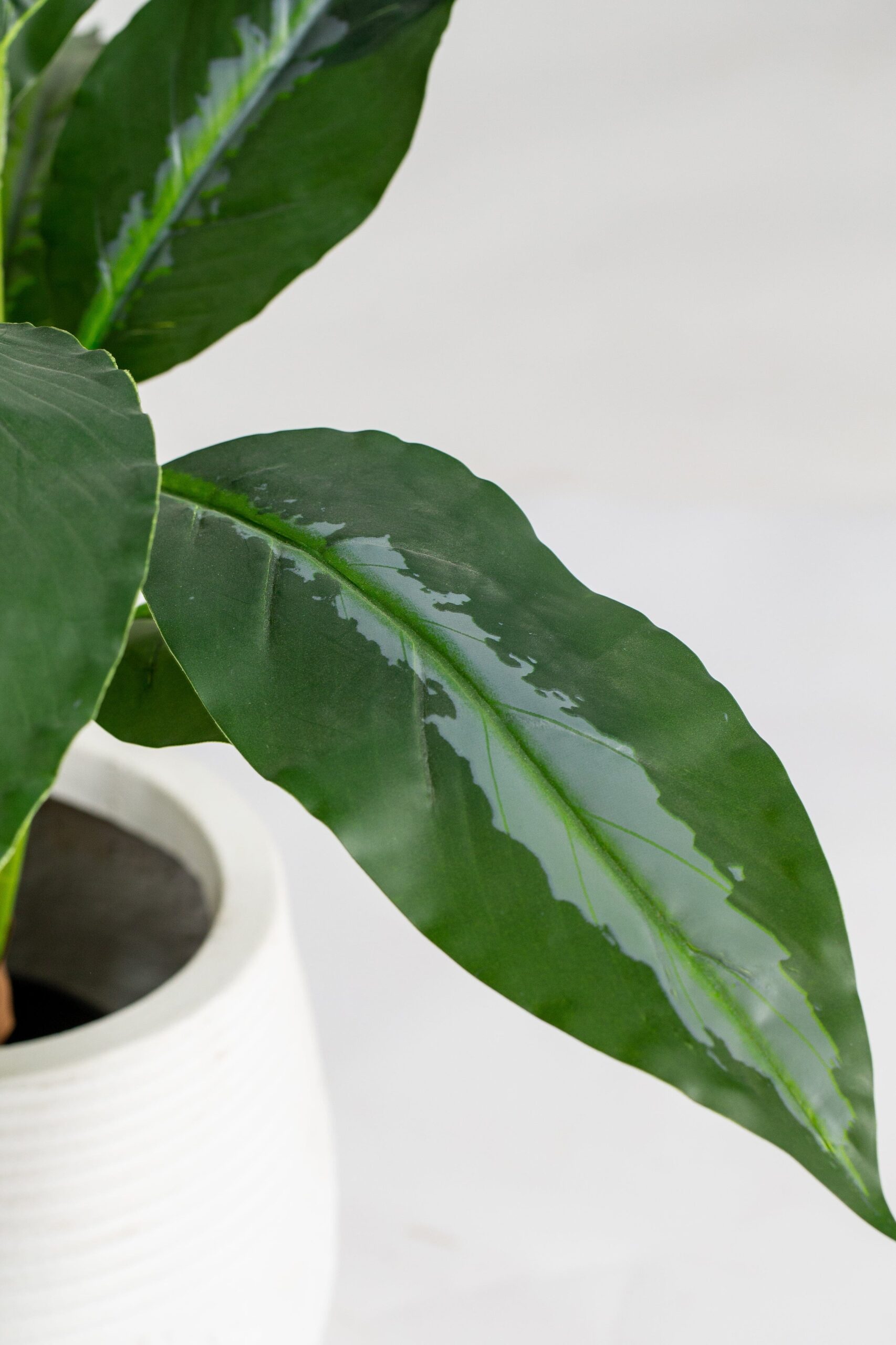 Dumb Canes Artificial Plant (40CM) - Image 2