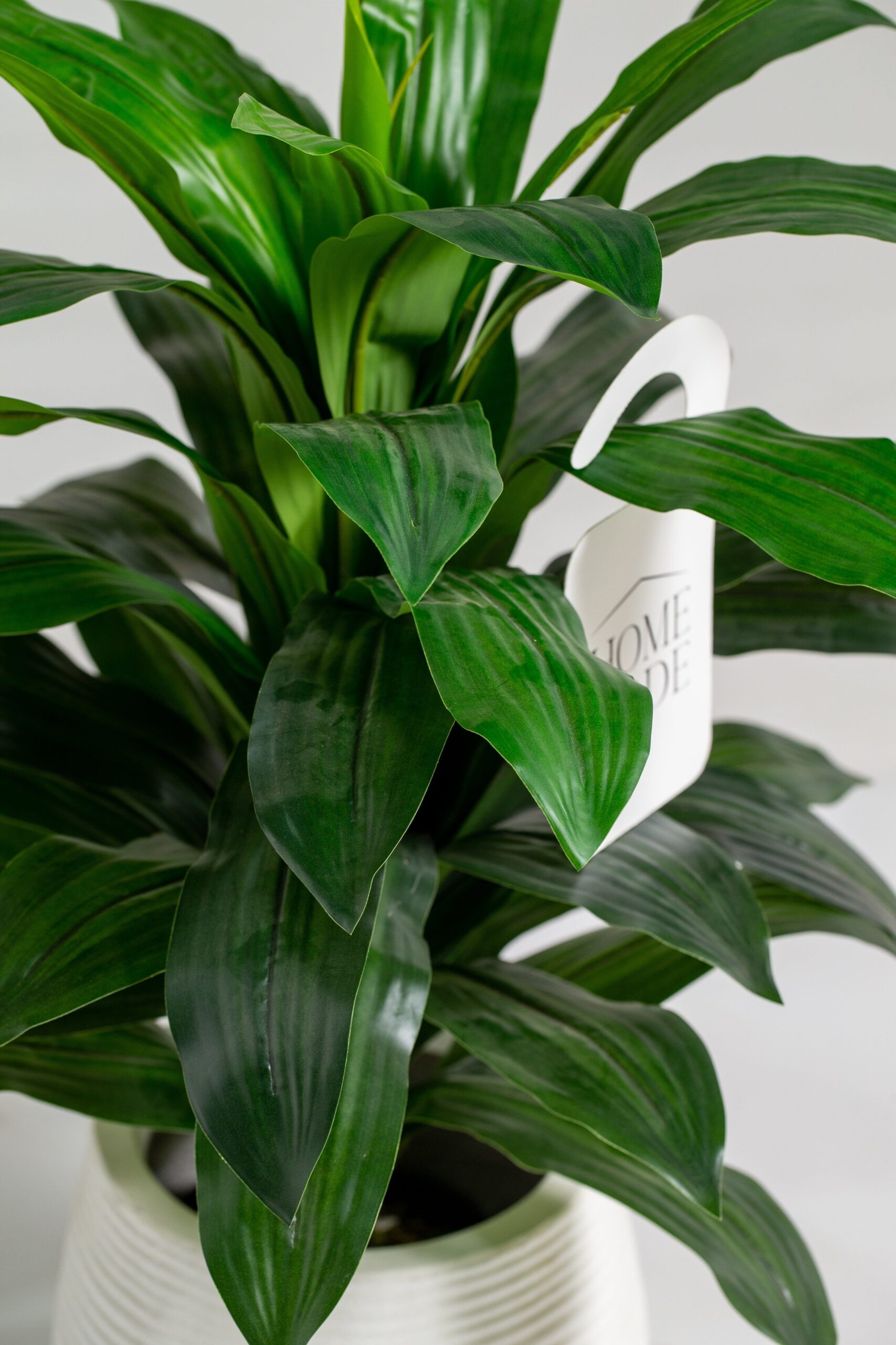 Dracaena Green Artificial Plant (60CM) - Image 2