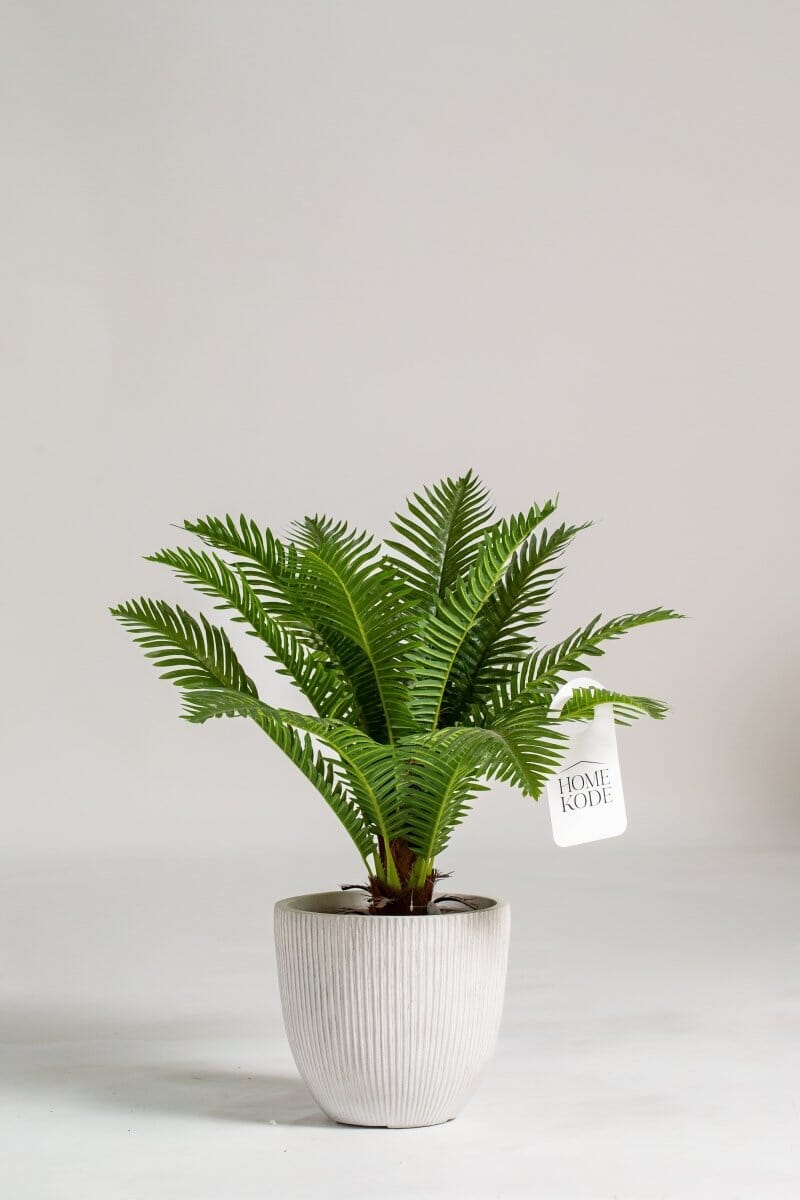 Cycas Palm Artificial Plant (50CM)