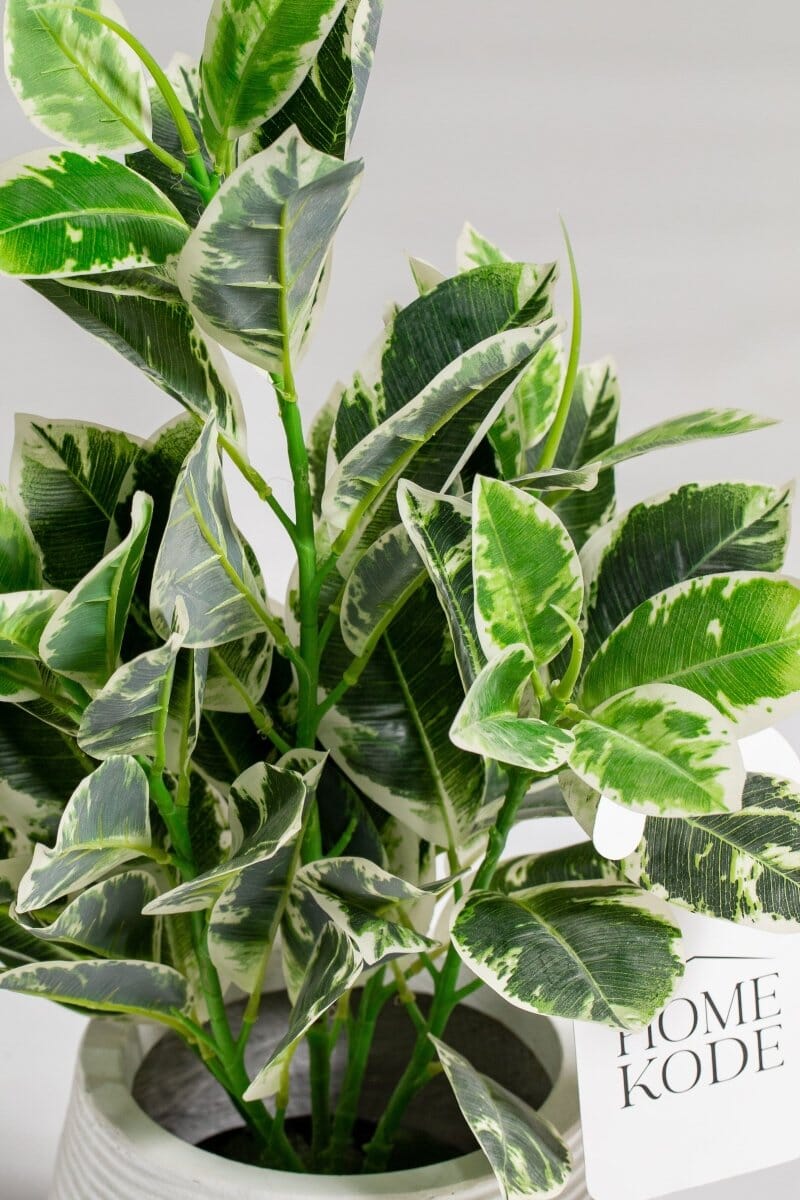 Dieffenbachia Artificial Plant (80CM) - Image 2