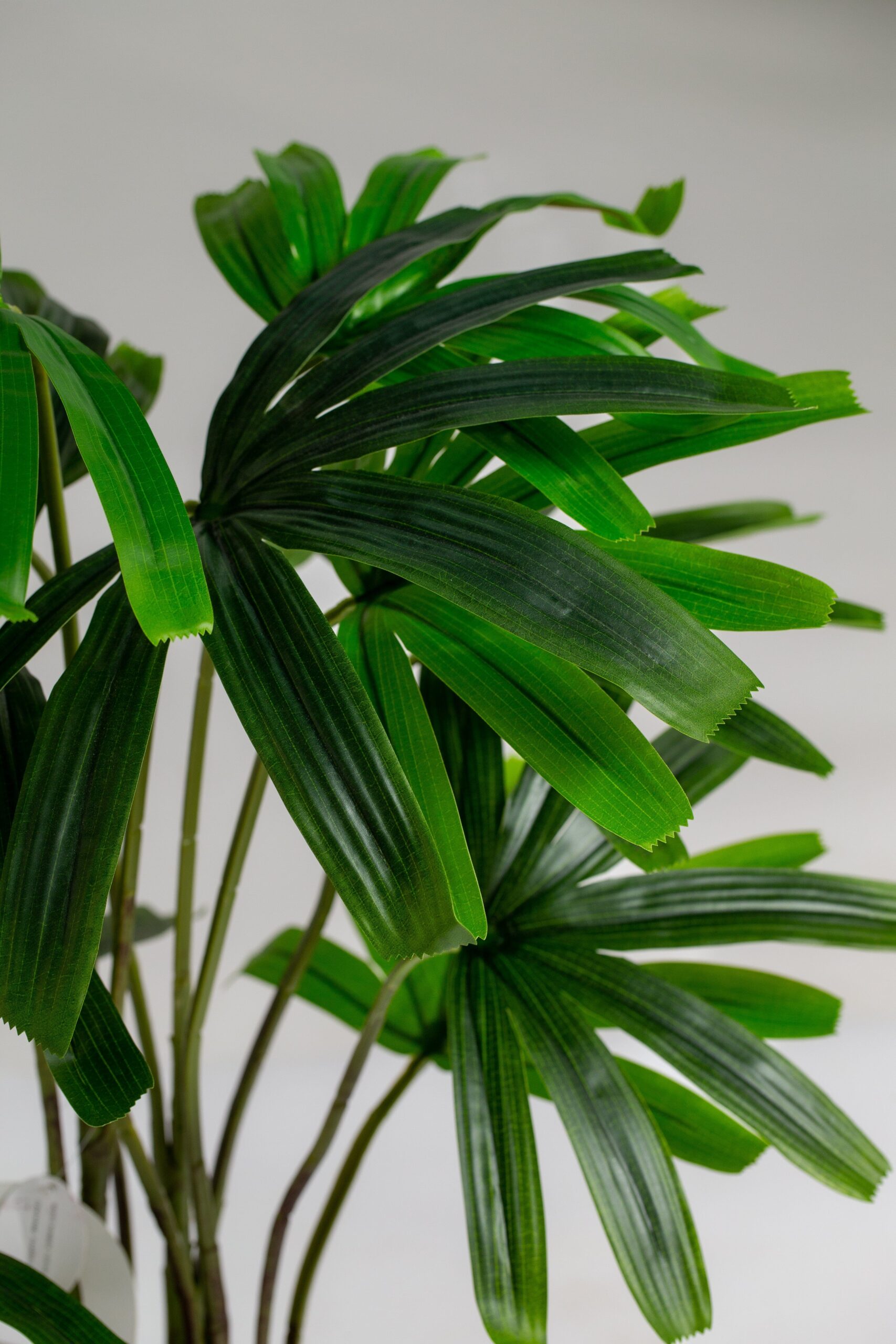 Broadleaf lady Palm Artificial Plant (100CM) - Image 3