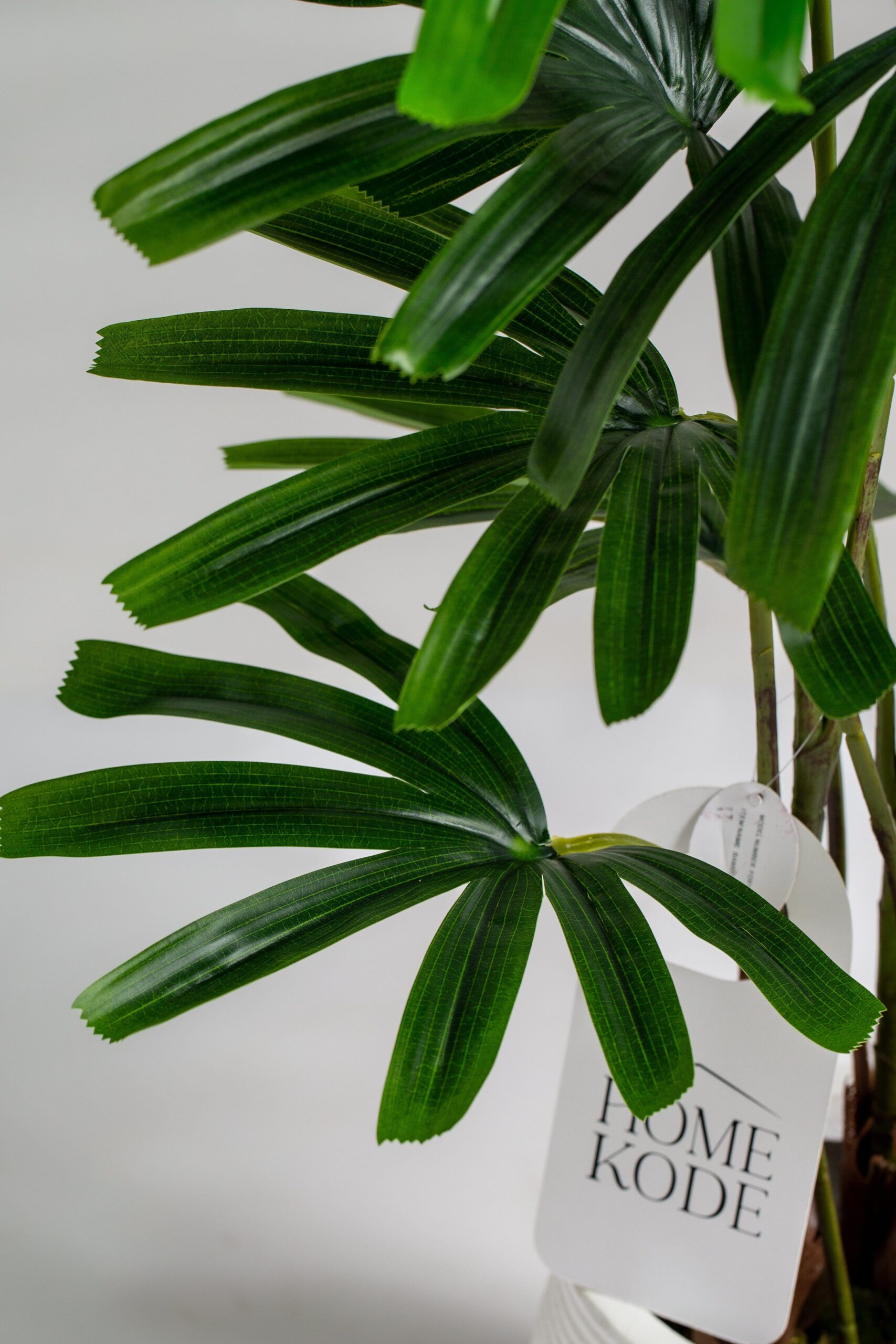 Broadleaf lady Palm Artificial Plant (100CM) - Image 4