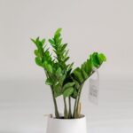 Zamioculcas Zamiifolia Artificial Plant (95CM)