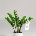 Zamioculcas Zamiifolia Artificial Plant (95CM)