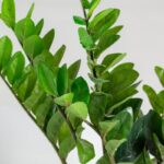 Zamioculcas Zamiifolia Artificial Plant (95CM)