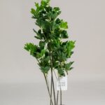 Schefflera Artificial Plant