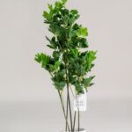 Schefflera Artificial Plant