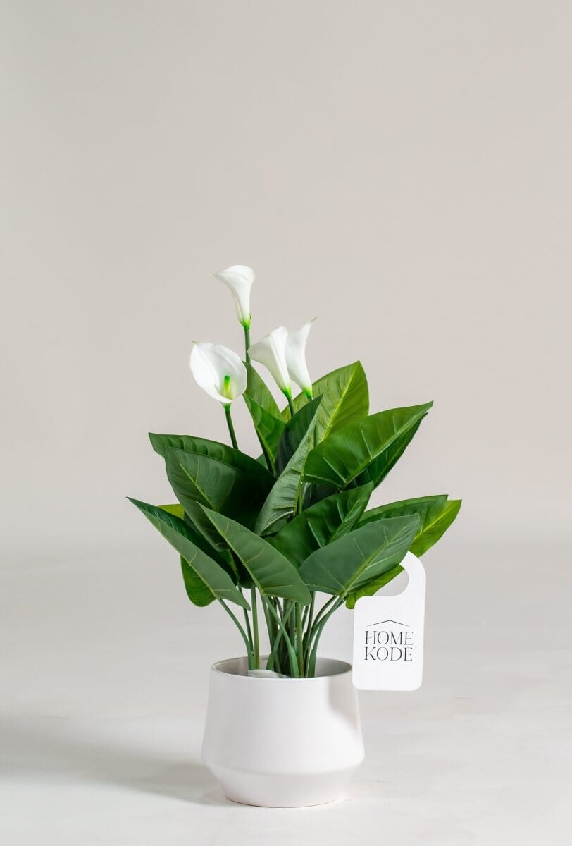 Arum Lily Artificial Plant (75CM) - Image 2