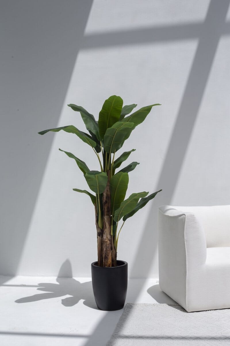 Musa Ornata Artificial Plant - Image 9