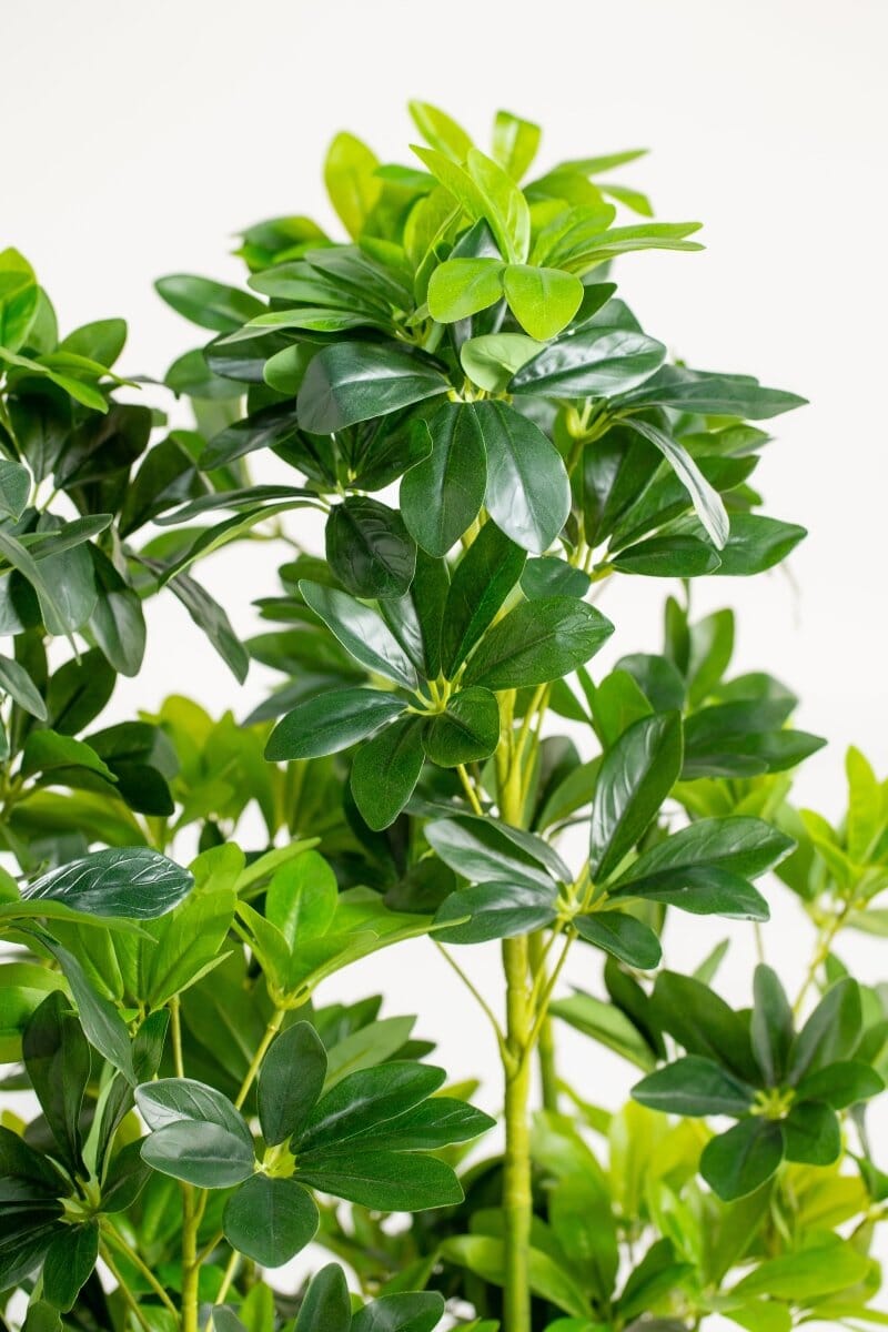 Schefflera Potted Artificial Plants (110CM) - Image 5